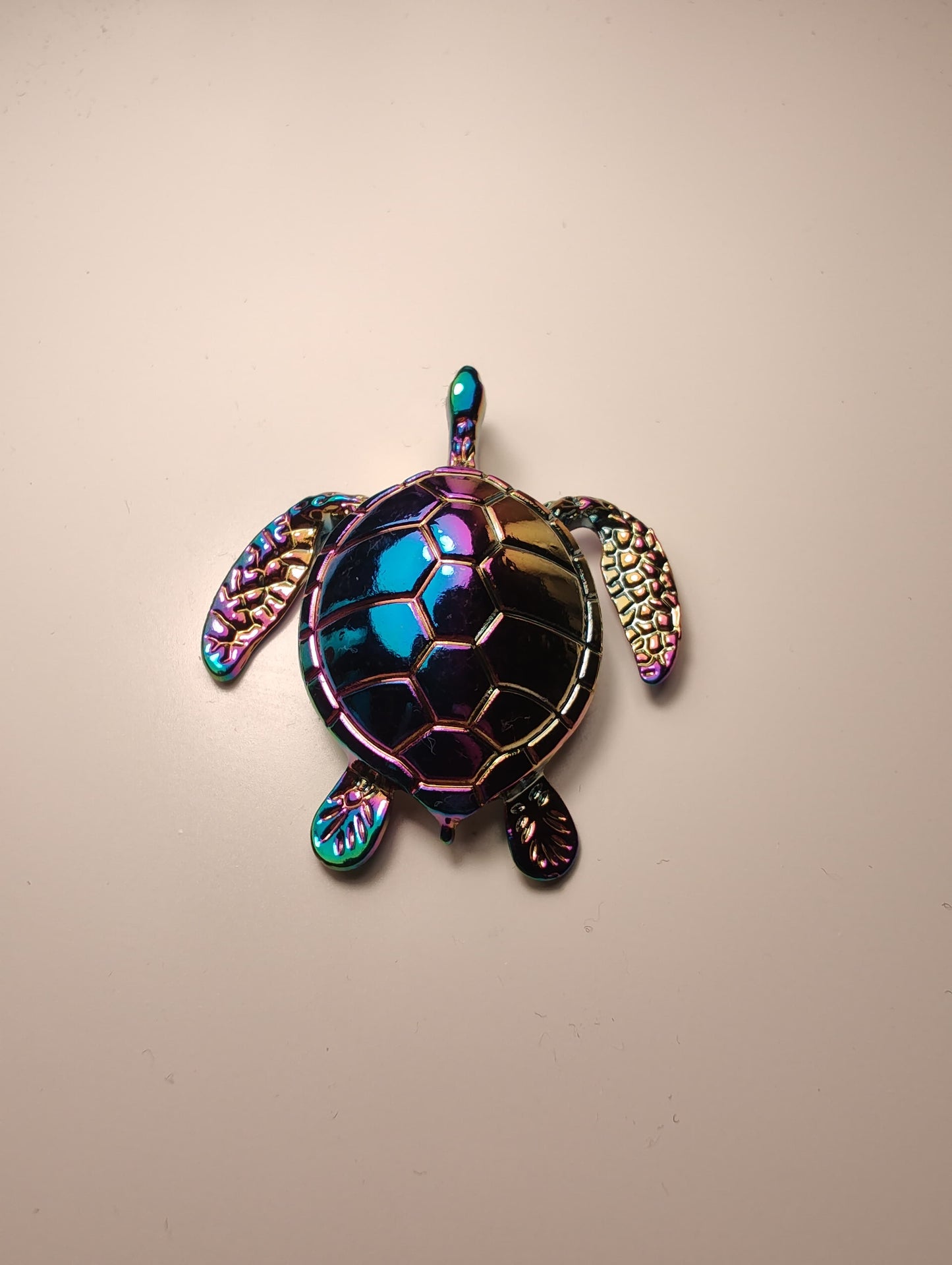 The Mydas Tortoise