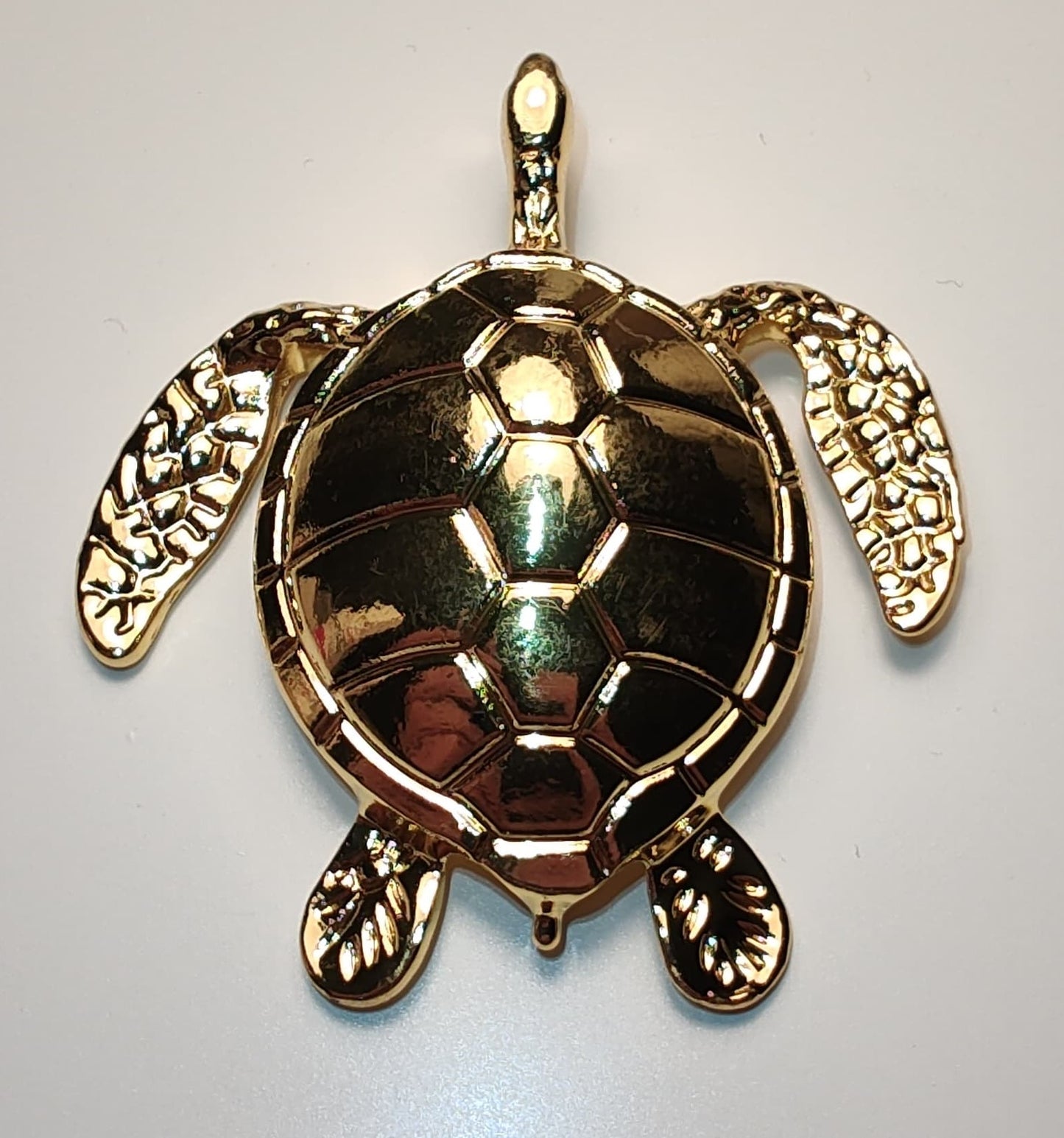 The Mydas Tortoise