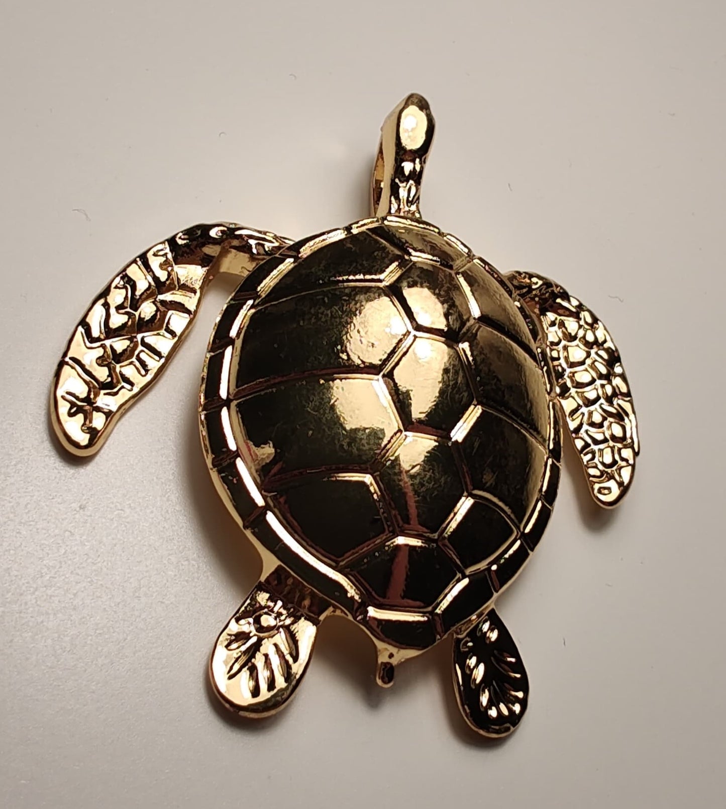 The Mydas Tortoise