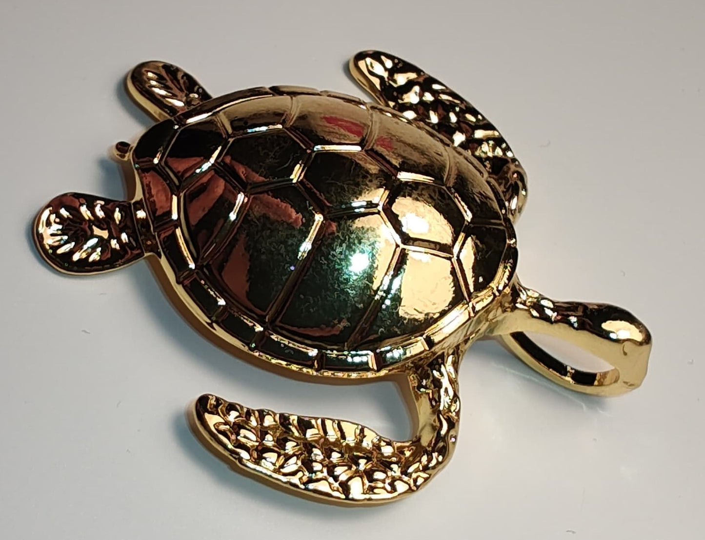 The Mydas Tortoise